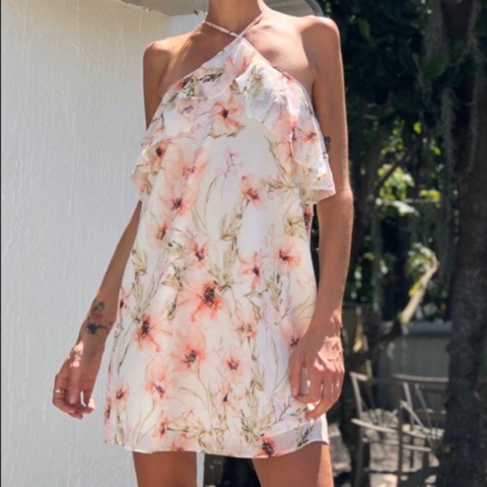 Haute Hippie Dress